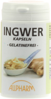 INGWER KAPSELN 300 mg