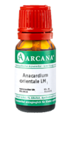 ANACARDIUM ORIENTALE LM 12 Dilution