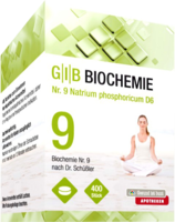 GIB Biochemie Nr.9 Natrium phosphoric.D 6 Tabl.