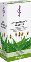 SPITZWEGERICHBLÄTTER Tee