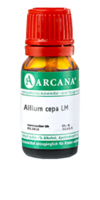 ALLIUM CEPA LM 75 Dilution