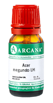 ACER negundo LM 25 Dilution