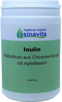 INULIN PULVER