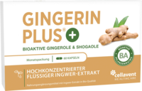 GINGERIN PLUS Kapseln