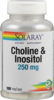 CHOLIN & INOSITOL Solaray Kapseln